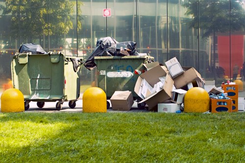 Choosing the right professional waste removal service